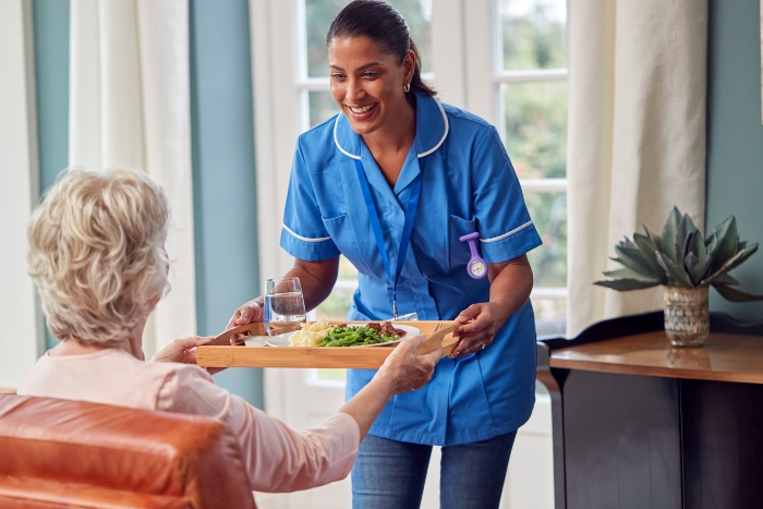Home Care Agencies Vs Private Caregivers